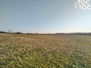 Agrícola en Río Claro