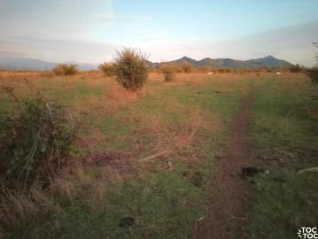 Agrícola en Río Claro