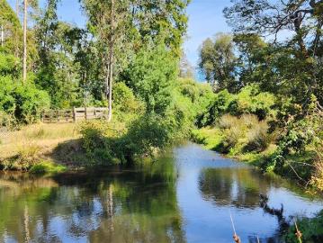 Agrícola en Río Negro