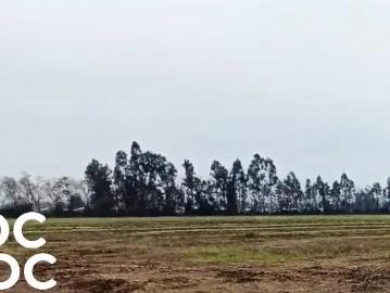 Agrícola en San Clemente