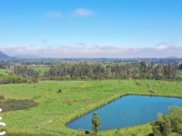 Agrícola en San Clemente
