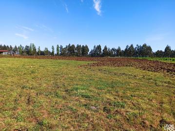 Agrícola en San Clemente