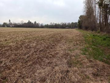 Agrícola en San Clemente