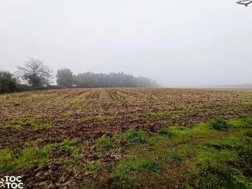 Agrícola en San Clemente