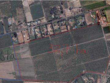 Agrícola en San Bernardo