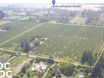 Agrícola en San Bernardo