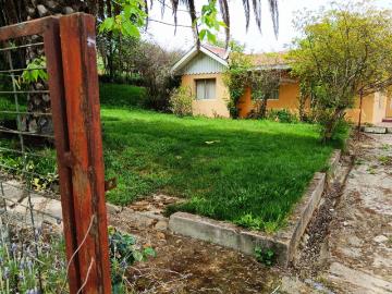 Agrícola en San Pedro