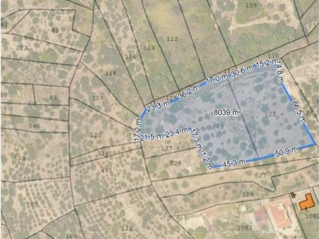 Agricolo di 8055mq