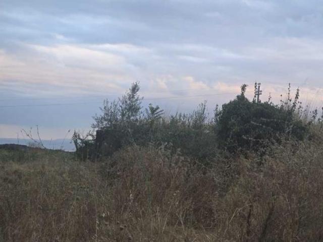 Agricolo in vendita a Camporotondo Etneo