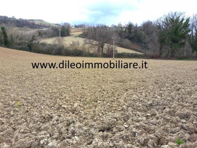 Agricolo in vendita a Carassai