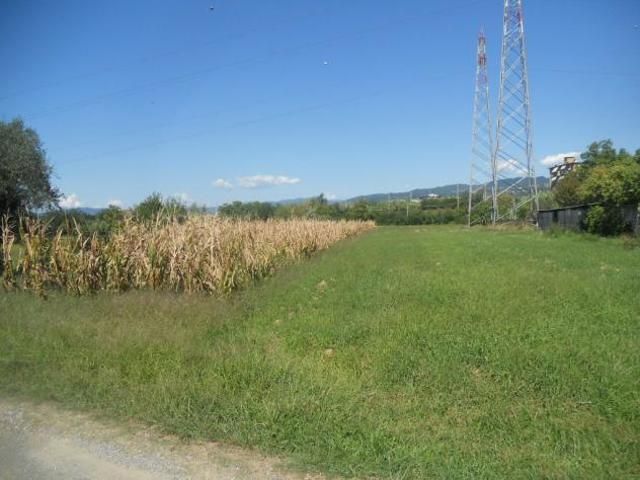 Agricolo in vendita a Castelnuovo Magra