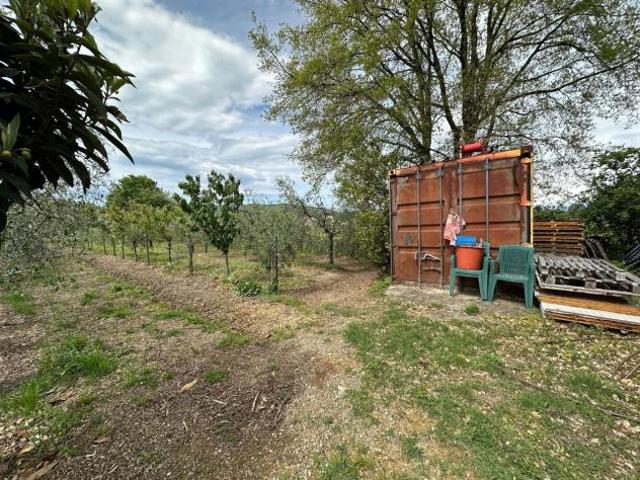 Agricolo in vendita a Castelnuovo Magra
