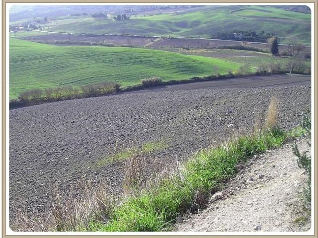Agricolo in vendita a Chianni