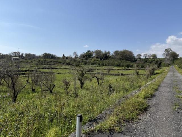 Agricolo in vendita a Acireale
