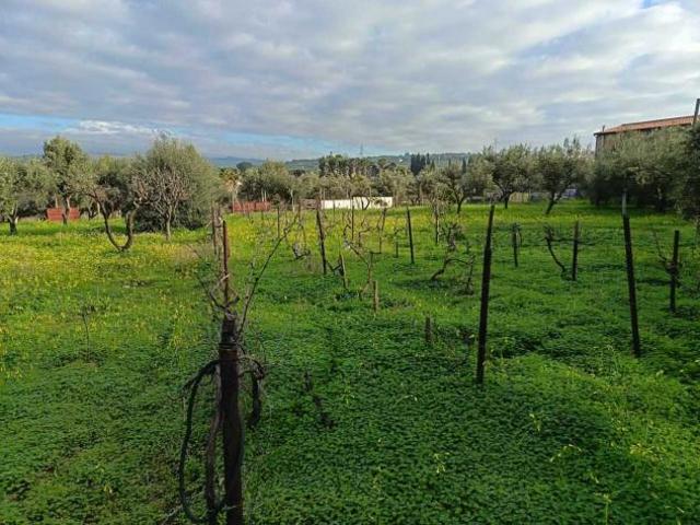 Agricolo in vendita a Belpasso