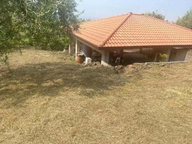 Agricolo in vendita a Belpasso