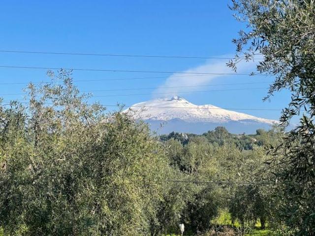 Agricolo in vendita a Belpasso