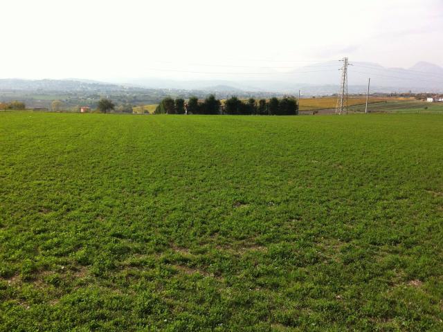 AGRICOLO in vendita a Benevento, CONTRADE