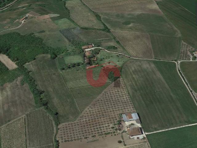 AGRICOLO in vendita a Benevento, CONTRADE