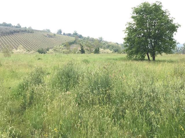AGRICOLO in vendita a Benevento