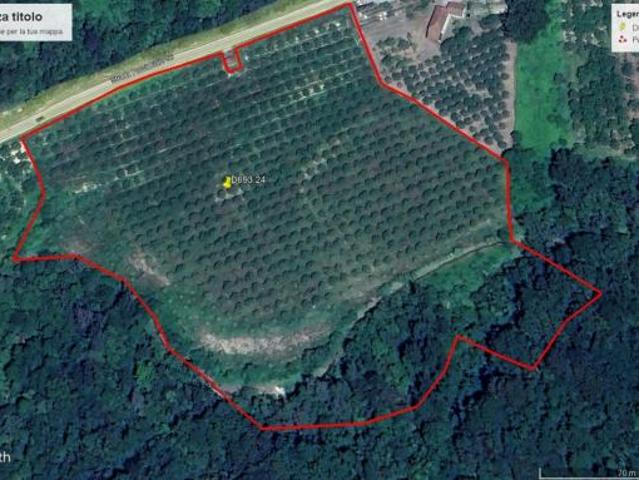 Agricolo in vendita a Dogliani