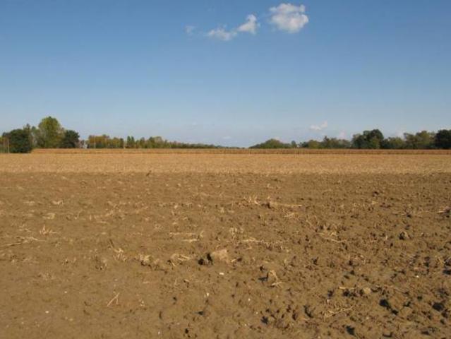 Agricolo in vendita a Falconara Marittima