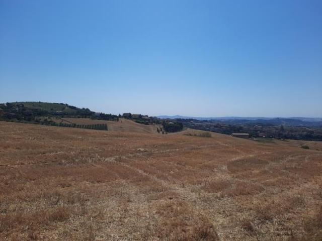 Agricolo in vendita a Offida