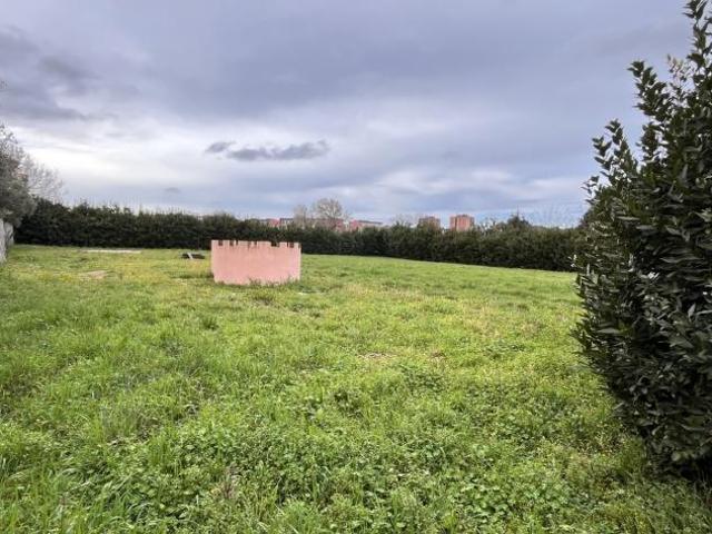 Agricolo in vendita a Livorno
