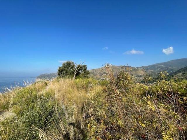 Agricolo in vendita a Montecorice