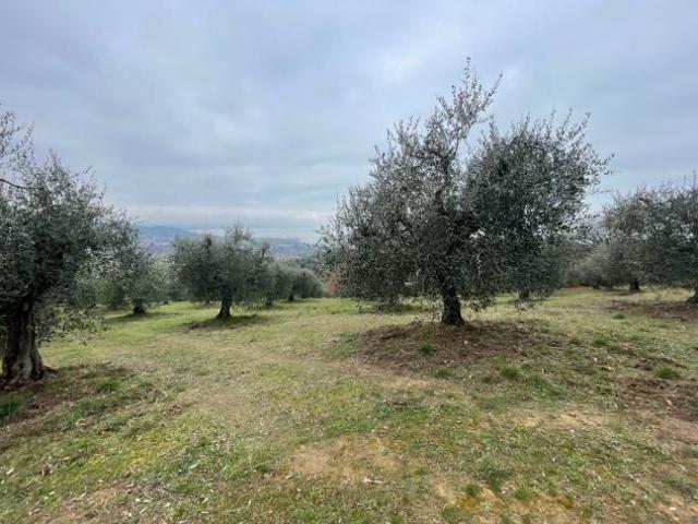 Agricolo in vendita a Magione
