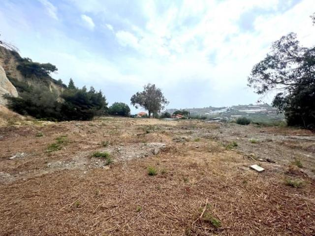Agricolo in vendita a Sanremo