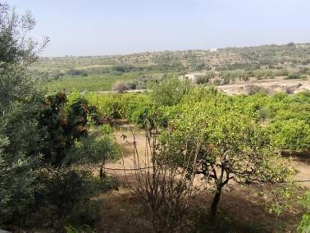 Agricolo in vendita a Siracusa