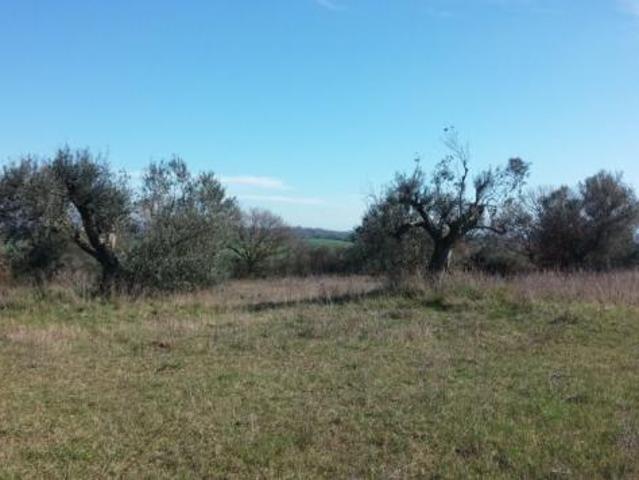 Agricolo in vendita a Siracusa