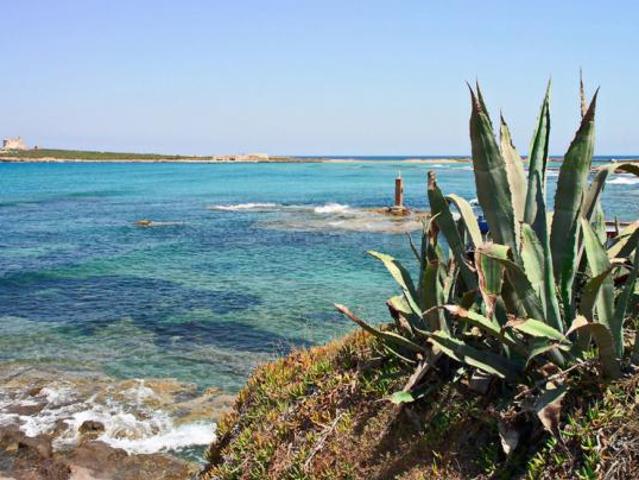 Agricolo in vendita a Portopalo di Capo Passero