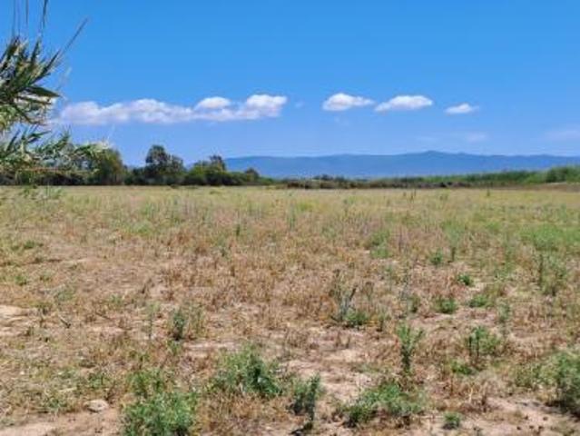 Agricolo in vendita a Quartu Sant'Elena