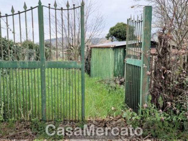 Agricolo in vendita a Rocca di Papa