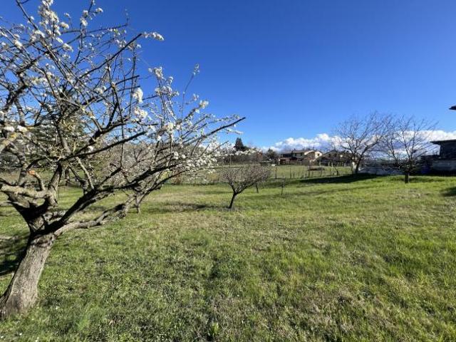 Agricolo in vendita a Valsamoggia
