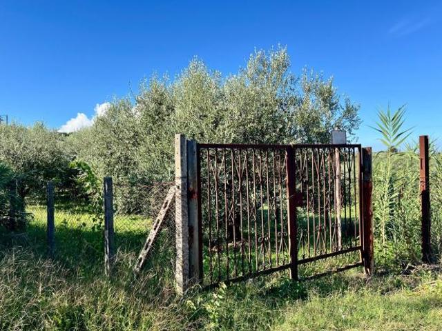 Agricolo in Via Colle Rasto