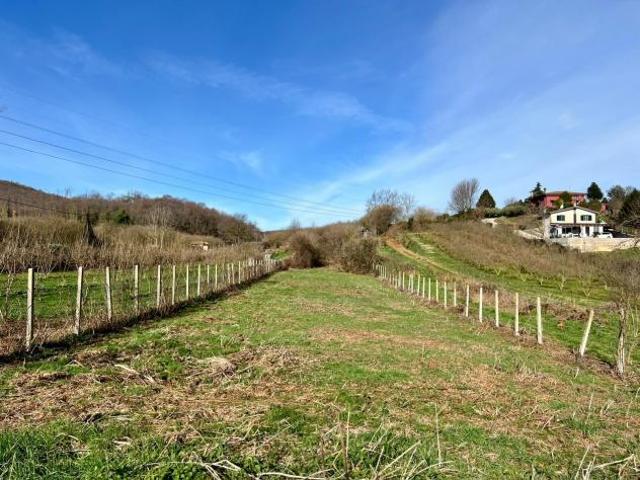 Agricolo in Via Colle Righetta