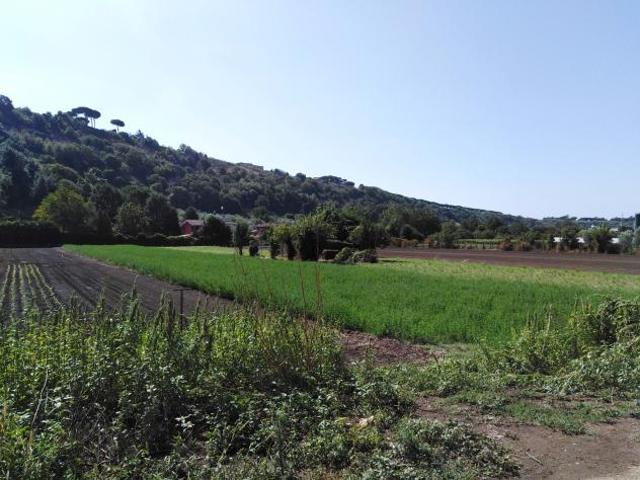 Agricolo in Via della Moletta