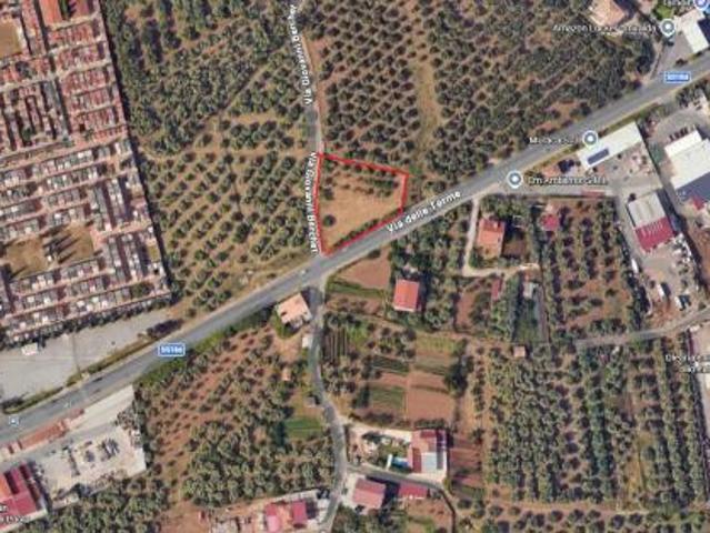 Agricolo in Via delle Terme