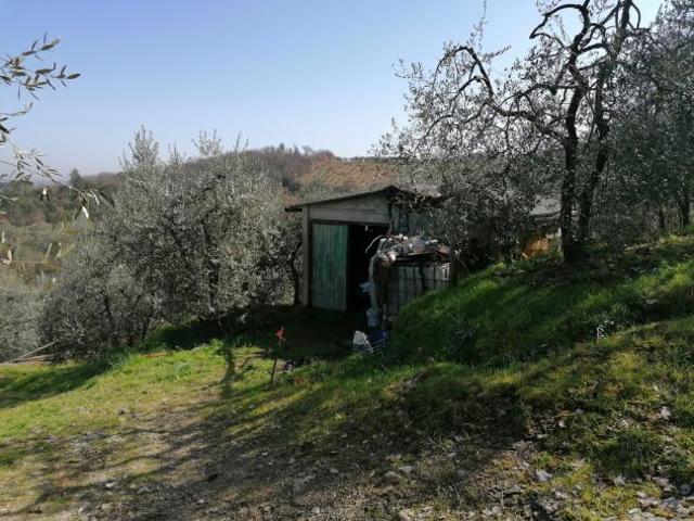Agricolo in Via di Ventena