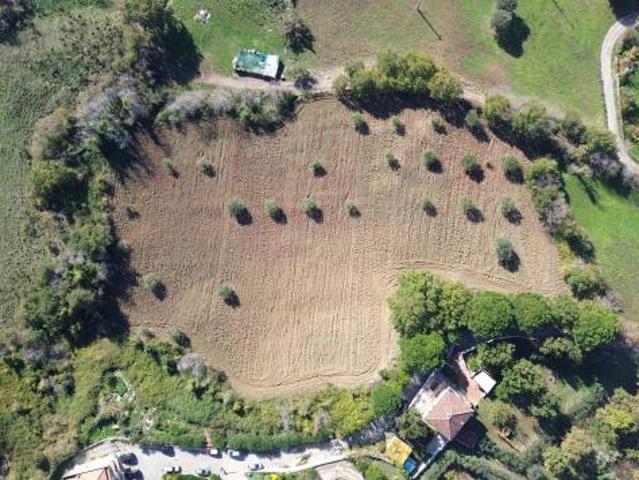 Agricolo in Via Fontanelle