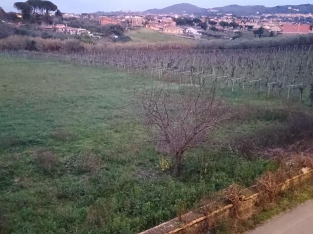 Agricolo in Via San Matteo