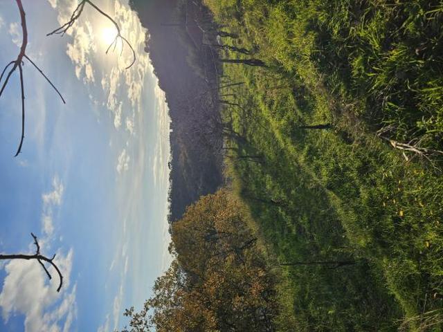 Agricolo in Via San Bartolomeo