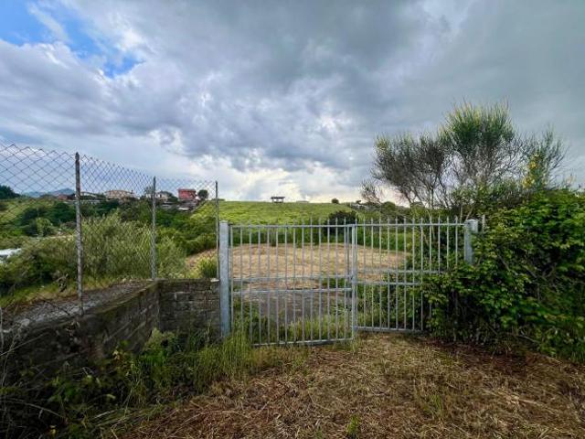Agricolo in Via Santa Apollaria