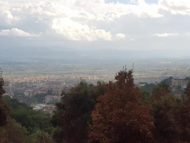 Agricolo in Via Pasquale Stancati