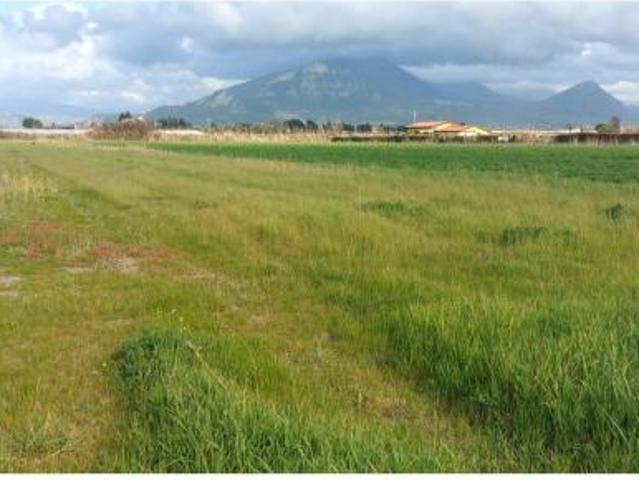 Agricolo in Via Quistione 1