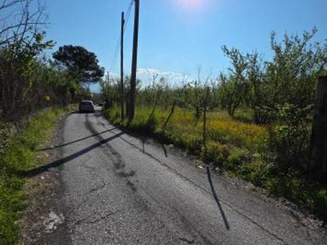 Agricolo in Via Telesi
