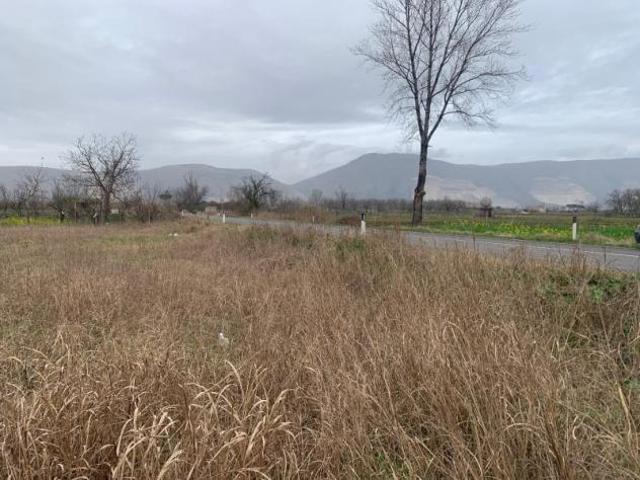 Agricolo in Via Vecchia del Bosco